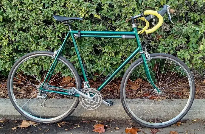 Steve Rex 64cm