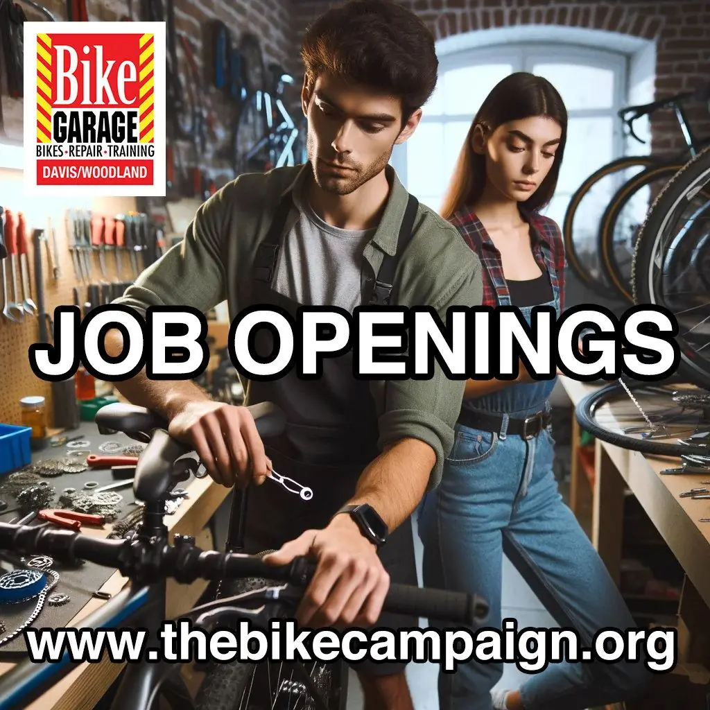 Job Openings in Davis &amp; Woodland