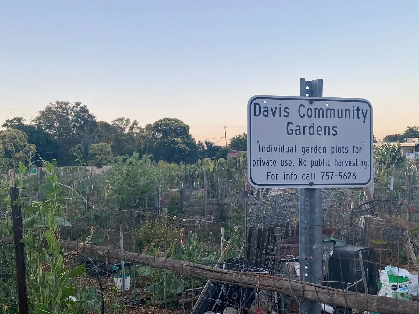 View from the Saddle: Ride Along 5th Street