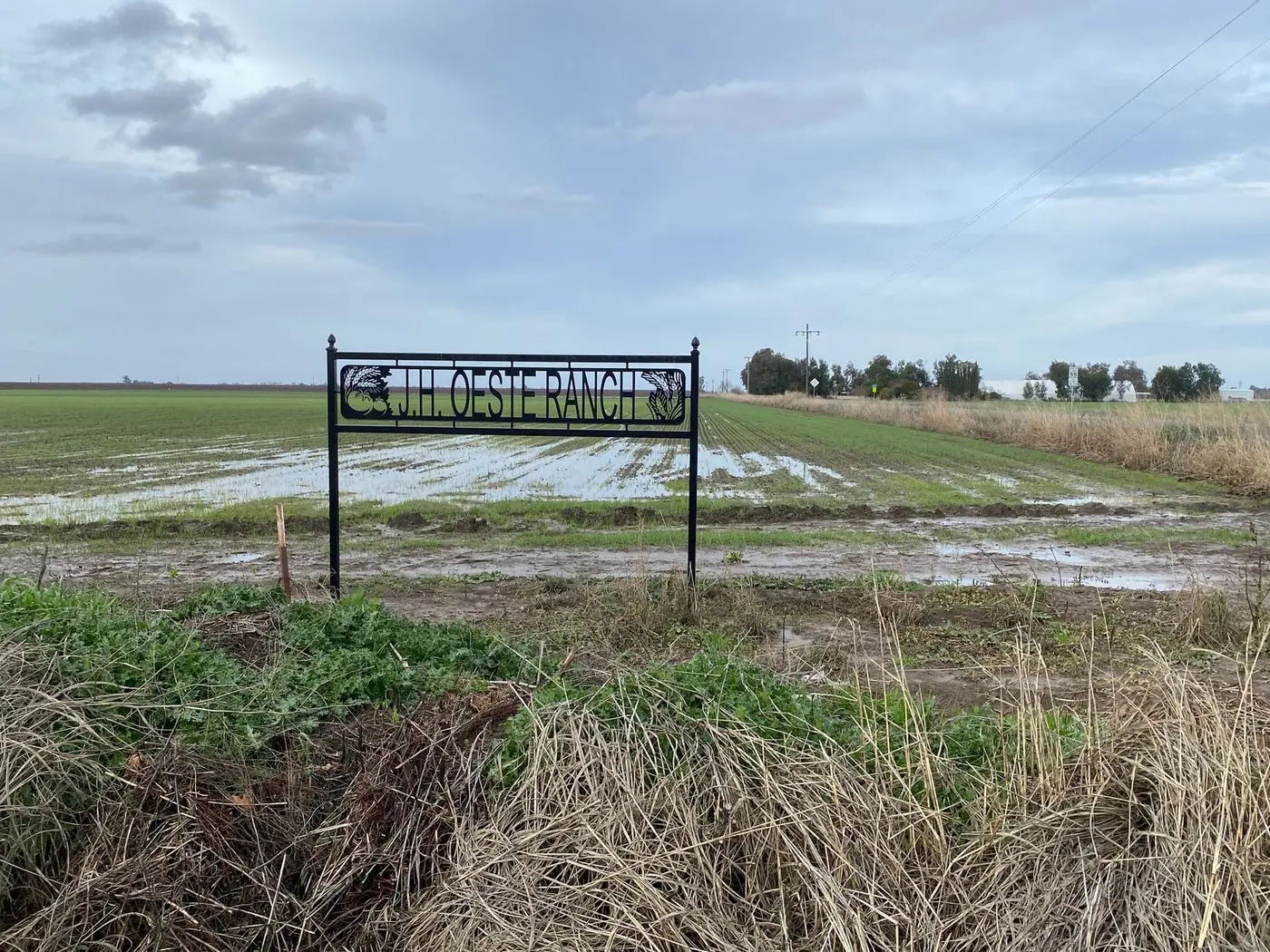 View from the Saddle: J.H. Oeste Ranch