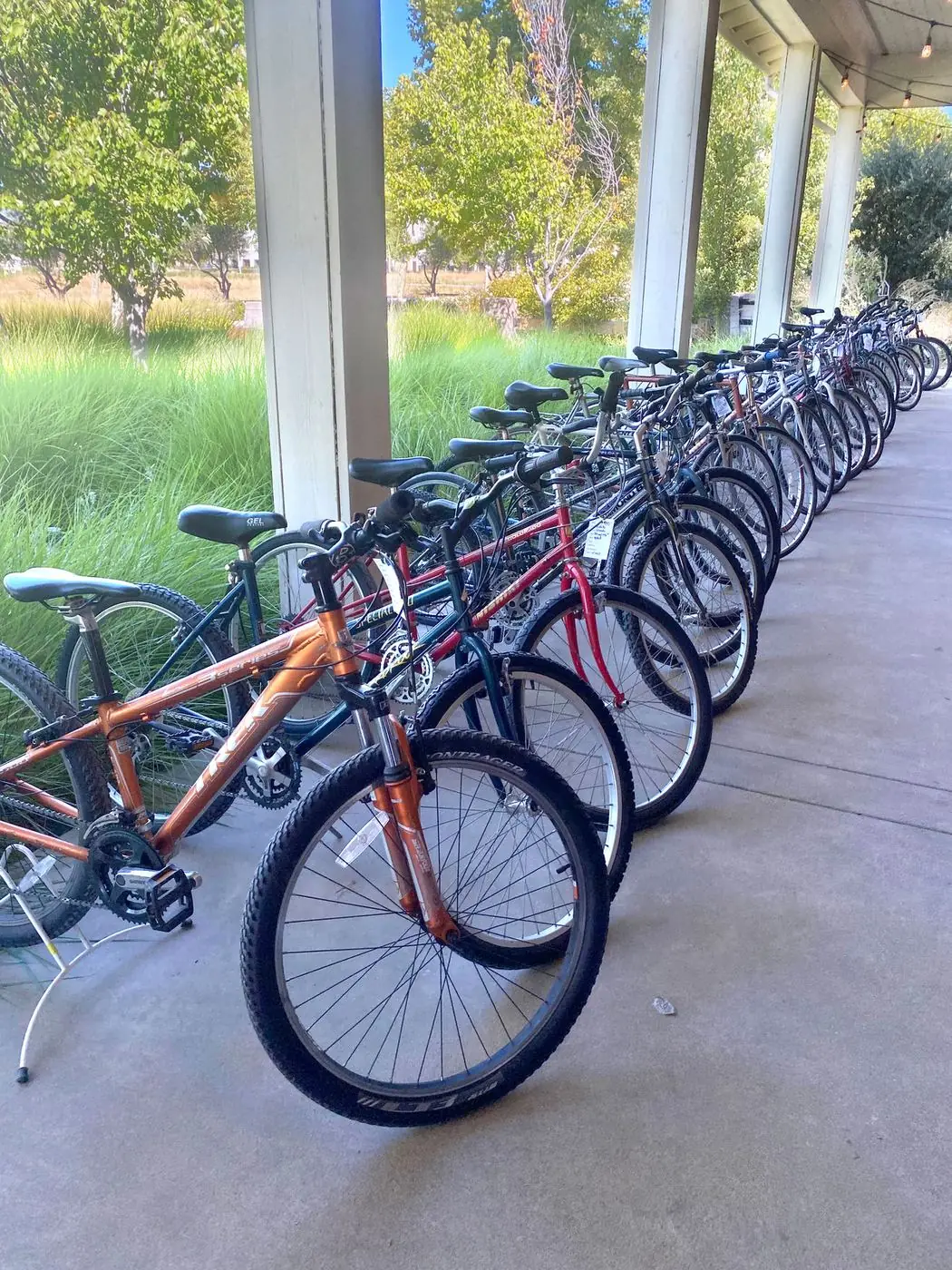 The Benefits of Choosing a Local Bike Shop