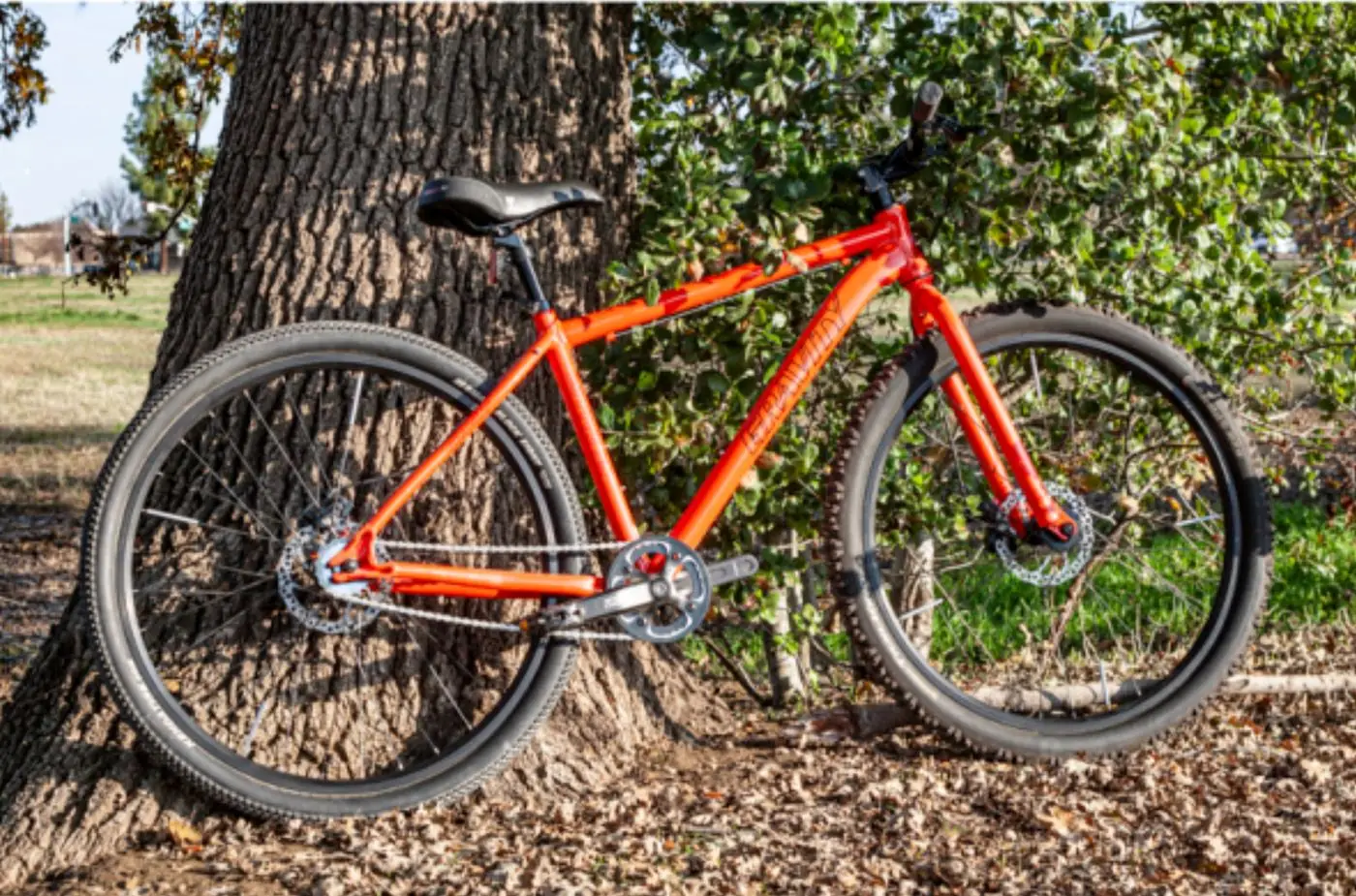 World Bicycle Day is Tuesday, June 3!