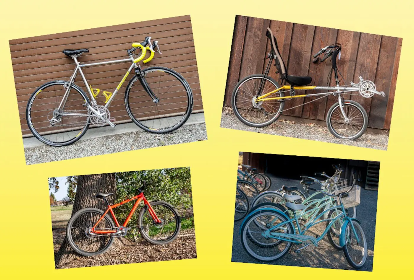 Need a bike to take on a vacation?